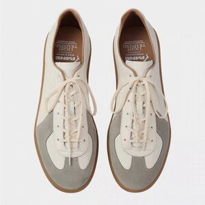 Pane | The Light Training